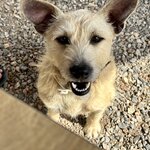 Photo taken by Darcy G