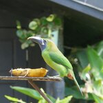 Photo taken by Kristen L