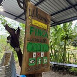 Photo taken by Serena V