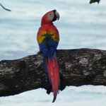 Photo taken by Brett F