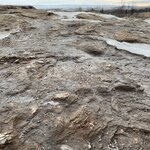 Photo taken by Paula M