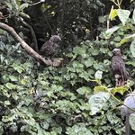 Photo taken by Nick M