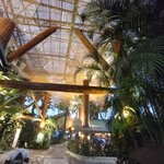 Photo taken by Brett F