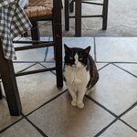 Photo taken by Elin T