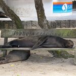 Photo taken by Sharon J