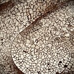 Photo taken by Colin M