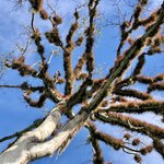 At Tikal | Photo taken by BRAD K