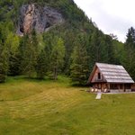 Photo taken by Janis R