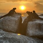 Photo taken by Mark A