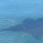 Photo taken by Gary W