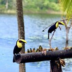 Photo taken by Cara A