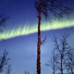 Photo taken by Tracy K