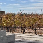 Photo taken by Graciela P