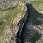 Photo taken by Tom B