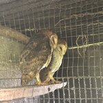 Photo taken by Ben S