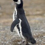 Photo taken by Sharon B