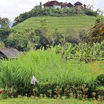 Photo taken by Laurence S