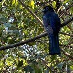 Photo taken by Bert B