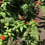 Photo taken by Jane K