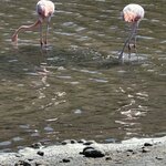 Photo taken by Mark A