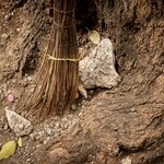 Photo taken by Steve B