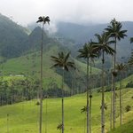 Photo taken by Michael T