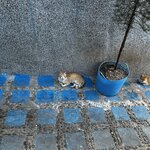 Photo taken by James P