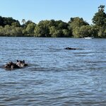 Photo taken by Christopher F