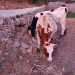 Photo taken by Patricia K