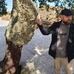 Photo taken by Laura R