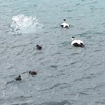 Photo taken by Marsha B