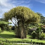 Photo taken by Victoria C