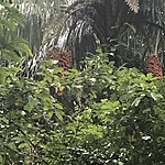 Photo taken by Michelle D