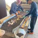 Photo taken by Karen C