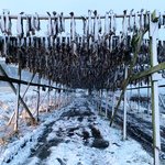 Photo taken by sheena h