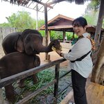 Photo taken by Megan H