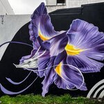 Photo taken by Kim C