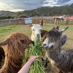 Photo taken by Emily F