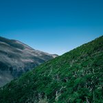 Photo taken by timothy m