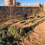 Photo taken by Maria R