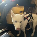 Photo taken by Brian C