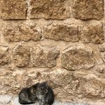 Photo taken by Laura M