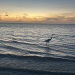 Photo taken by Imogen E