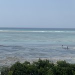 Photo taken by Kristin M