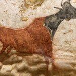 Photo taken by Sam B