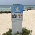 Photo taken by Cynthia C