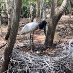 Photo taken by Veronica T