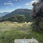 Photo taken by Haley L