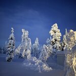 Photo taken by Ellyn V