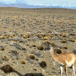 Photo taken by SUSAN L